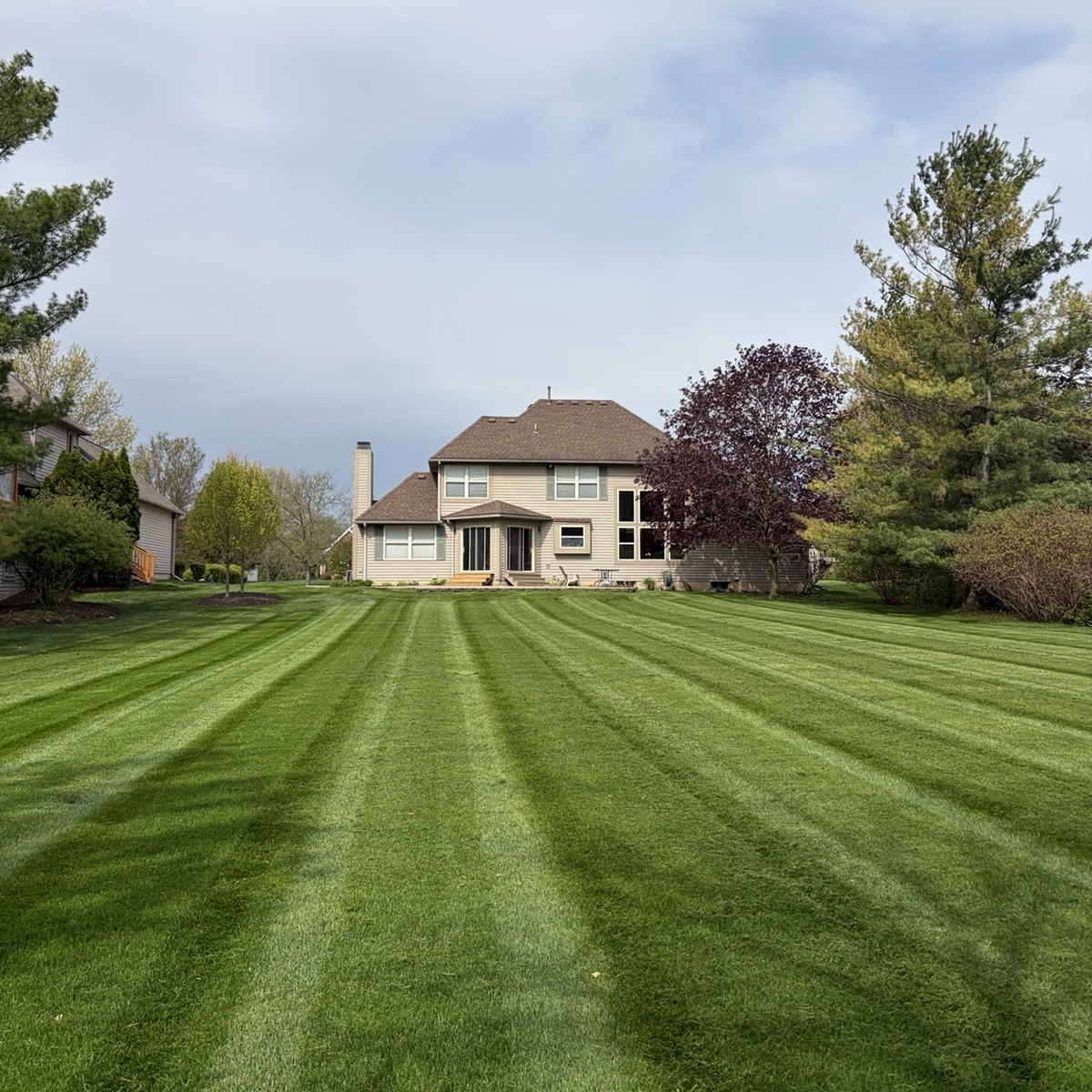 Fresh mowing stripes on a lawn maintained by Baby J’s